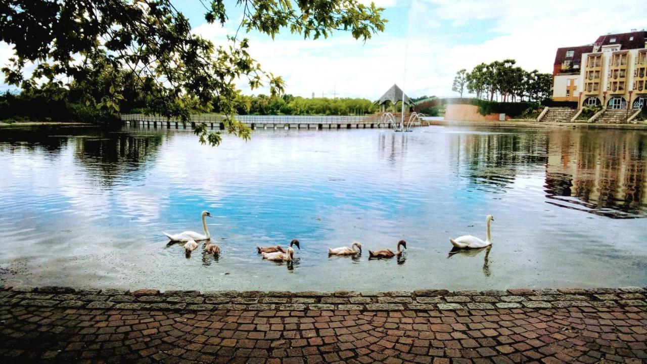 Vue Exceptionnelle Sur Le Lac Creteil Luaran gambar