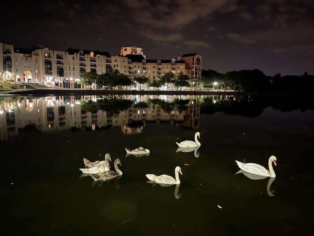 Vue Exceptionnelle Sur Le Lac Creteil Luaran gambar