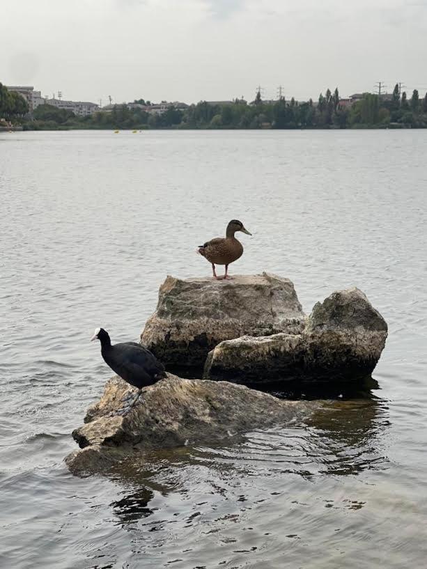 Vue Exceptionnelle Sur Le Lac Creteil Luaran gambar